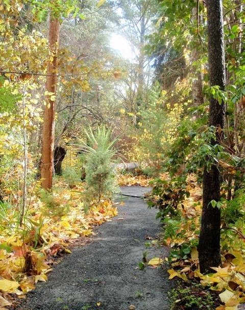 Aldgate Valley Bed And Breakfast - Tourism TAS 43