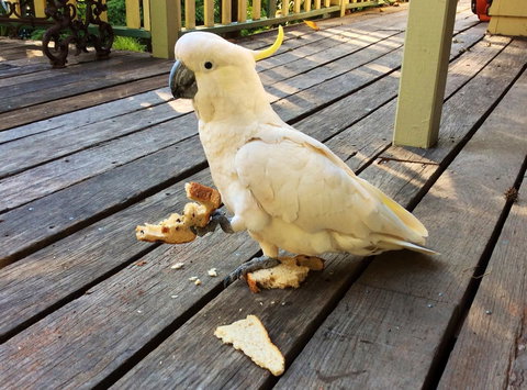 Aldgate Valley Bed And Breakfast - Tourism TAS 40