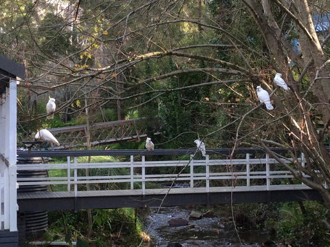 Aldgate Valley Bed And Breakfast - Tourism TAS 41