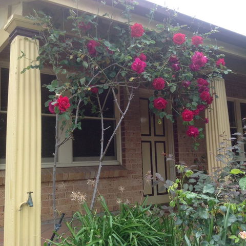 Oats Cottage - Hobart Tourism 3