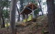 Longwood Retreat - thumb 0