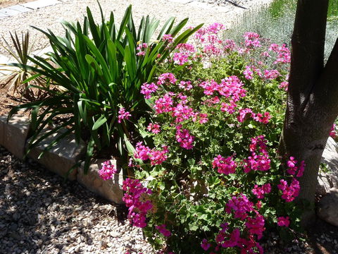 Country Bakehouse Accommodation - Hobart Tourism 18