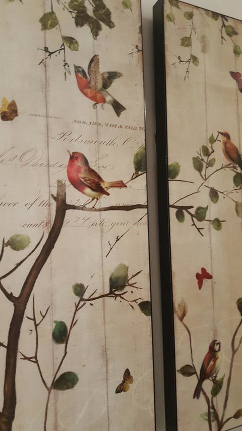 Jacaranda Homestay - Tourism TAS 4