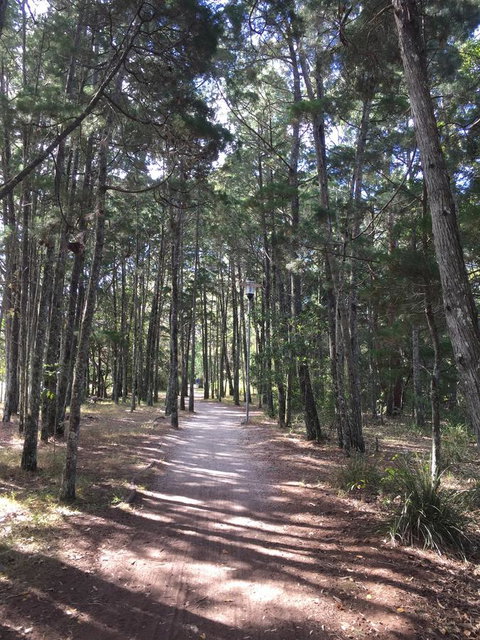 Brunswick Heads Treetop Studio - Tourism TAS 8