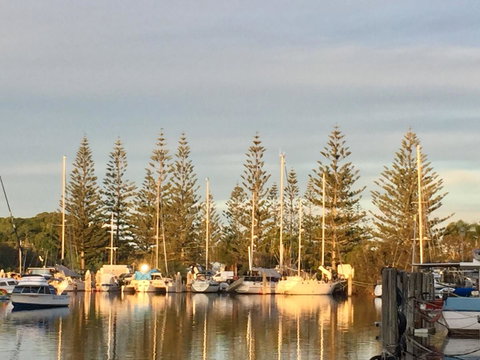 Brunswick Heads Treetop Studio - Tourism TAS 24