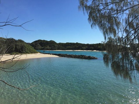 Brunswick Heads Treetop Studio - Tourism TAS 22