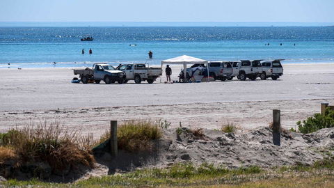 Wallaroo Holiday Park - Tourism TAS 9