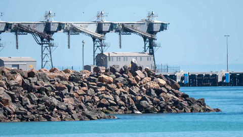 Wallaroo Holiday Park - Tourism TAS 6