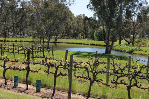 OXENBERRY FARM - Hobart Tourism 19