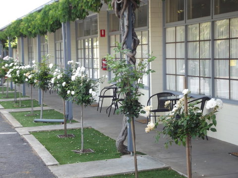 Guichen Bay Motel - Tourism TAS 38