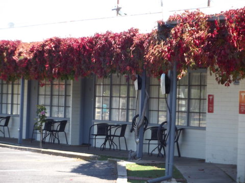 Guichen Bay Motel - Tourism TAS 23