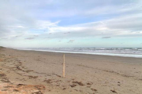 SeaWatch-Sea Views - Tourism TAS 6