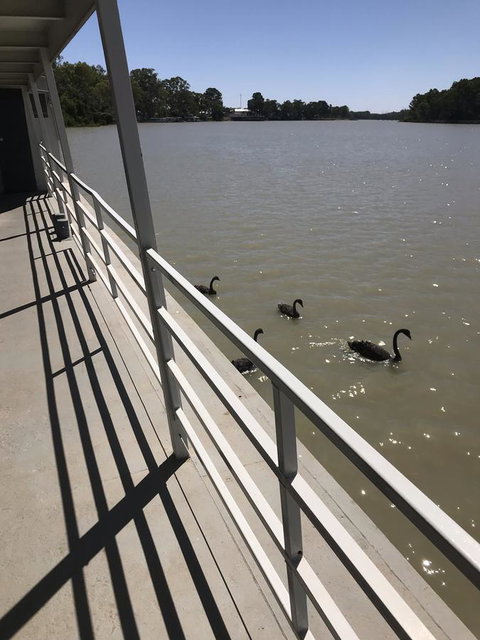 Murray River Queen - Tourism TAS 7
