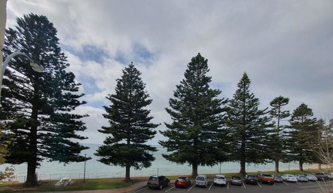 Pier Hotel Port Lincoln - Tourism TAS 12