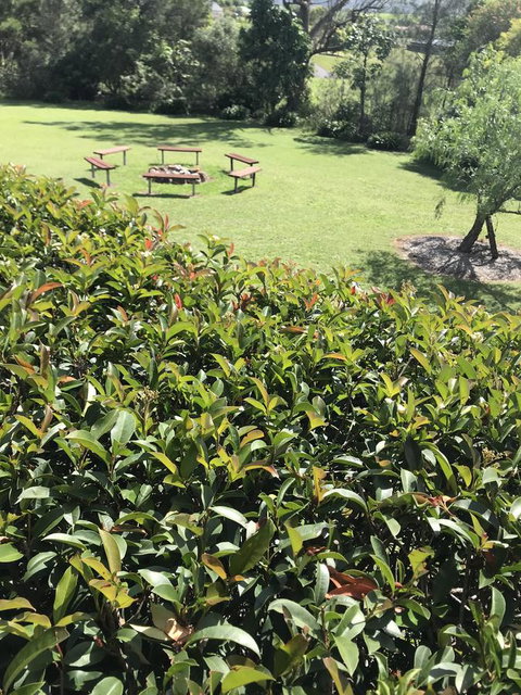 Avon View Stays Accommodation. - Tourism TAS 10