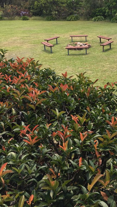 Avon View Stays Accommodation. - Tourism TAS 16