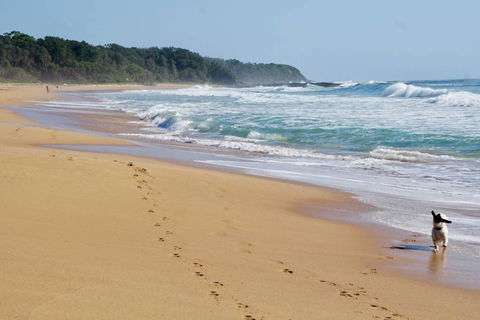 Culburra Beachhouse - Tourism TAS 7