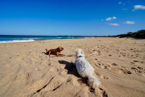 Culburra Beachhouse - Tourism TAS 8