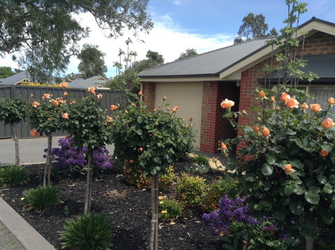 C And C Tanunda - Tourism TAS 1