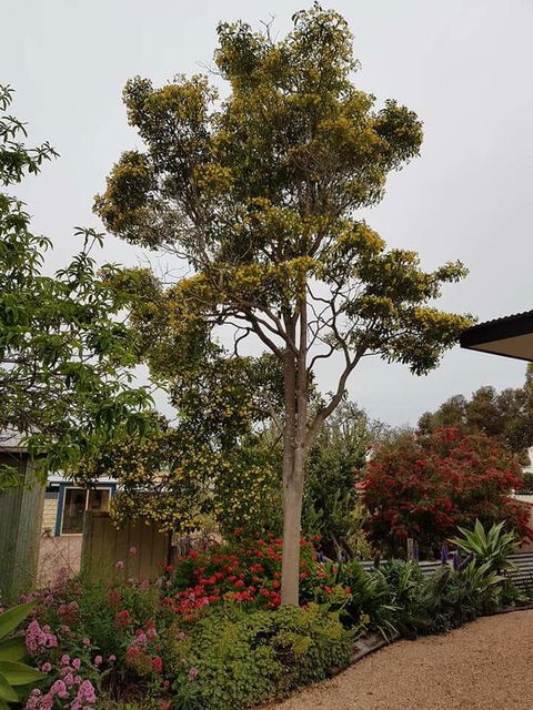 Sinclair Cottage - Tourism TAS 25