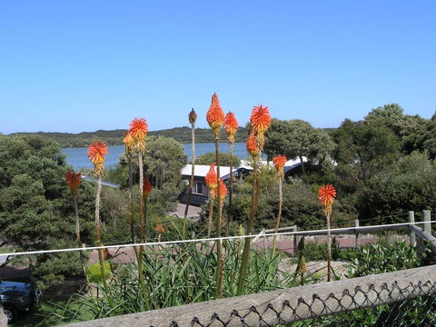 Lakeside Tourist Park - Hobart Tourism 3