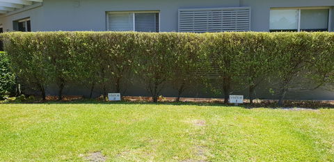 2 Austinmer Studio - Tourism TAS 12
