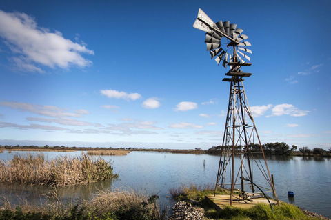 Limestone Ridge - Tourism TAS 16