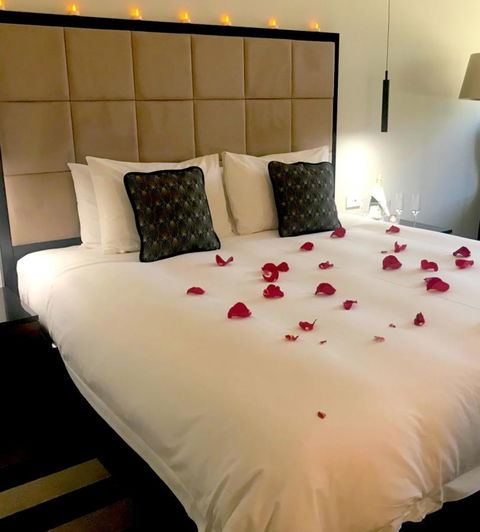 Ellen Hotel - Tourism TAS 5