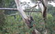 Pirralilla Estate Adelaide Hills - thumb 24