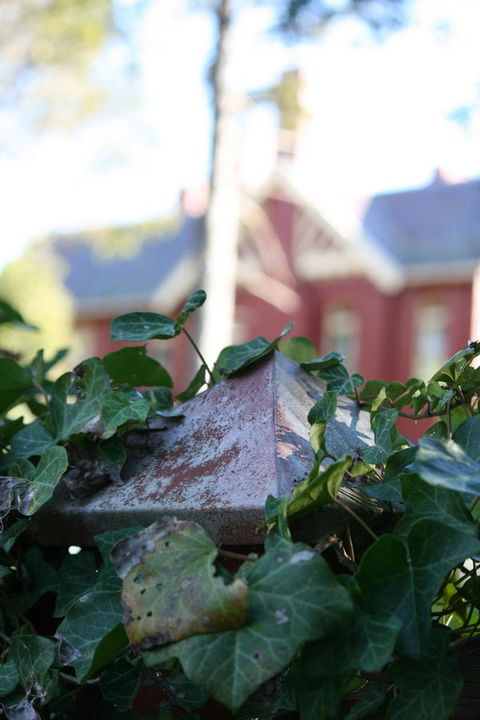 Pirralilla Estate Adelaide Hills - Hobart Tourism 27