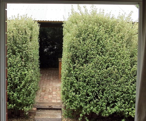 A2@Port Willy - Tourism TAS 13