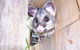 Discovery Parks - Kangaroo Island - thumb 39