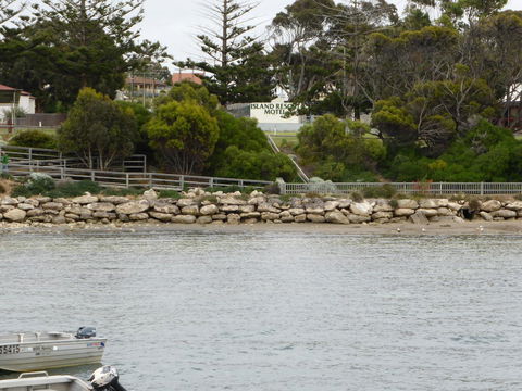 Island Motel Kingscote - Hobart Tourism 4
