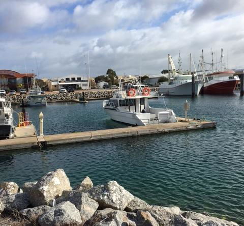 Port Lincoln Shark Apartment 3 - Tourism TAS 1