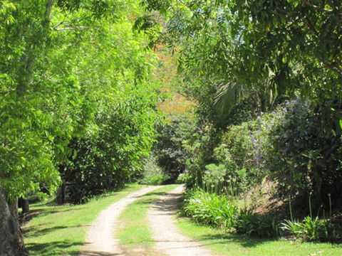 SummerHills Retreat Byron Bay - Tourism TAS 33