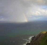 Byron Bay Guest - Hobart Tourism