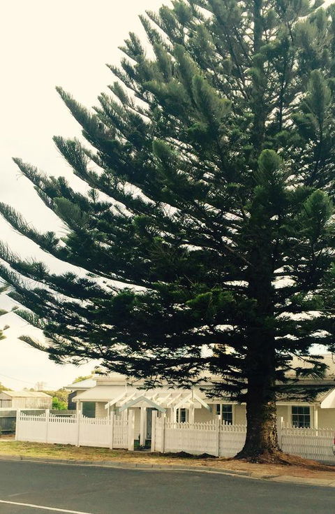 Railway Cottage In Beachport - Hobart Tourism 13