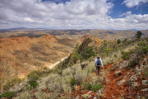 Arkaroola Wilderness Sanctuary - Tourism TAS 4
