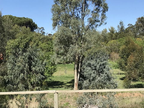 Adagio In Auburn - Tourism TAS 25