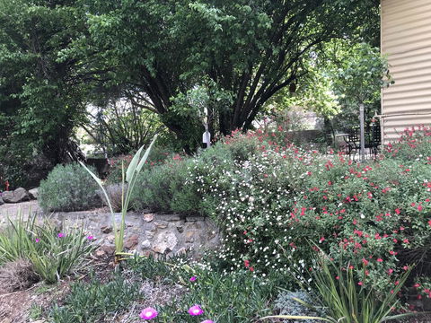 Adagio In Auburn - Tourism TAS 10
