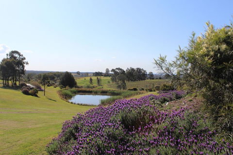 Beltana Villas - Hobart Tourism 7