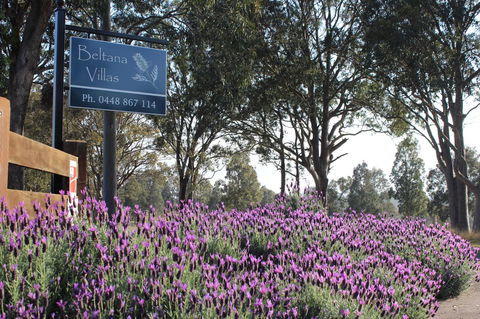 Beltana Villas - Hobart Tourism 10