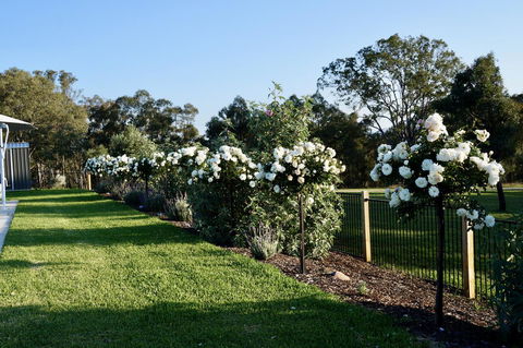 Beltana Villas - Hobart Tourism 2