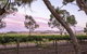 Jasmine\'s Barossa Valley Cottage - thumb 19