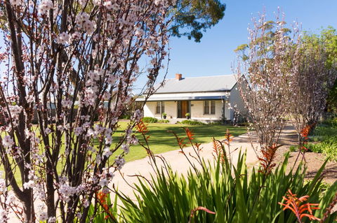 20 Hill Avenue Bed & Breakfast - Hobart Tourism 1