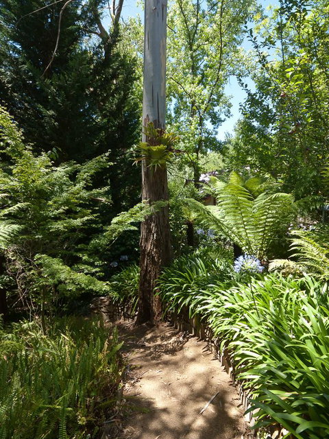 Aldgate Creek Cottage Bed And Breakfast - Tourism TAS 27