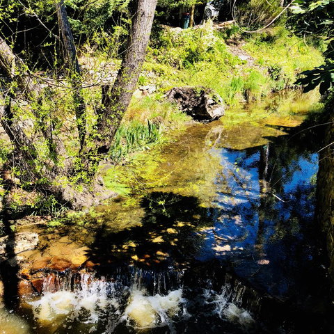 Aldgate Creek Cottage Bed And Breakfast - Tourism TAS 22