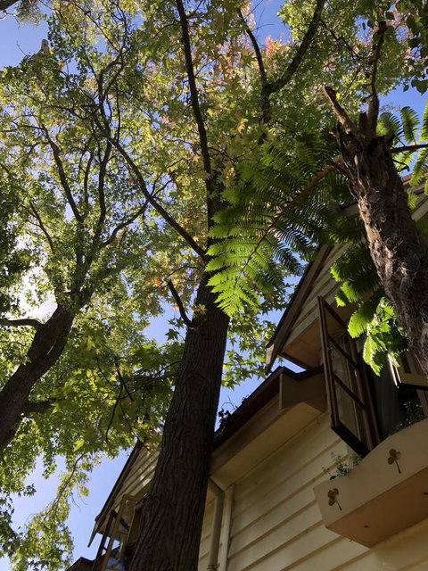 Aldgate Creek Cottage Bed And Breakfast - Tourism TAS 8