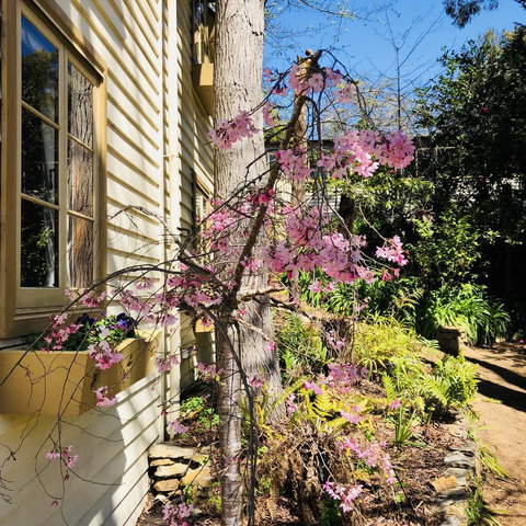 Aldgate Creek Cottage Bed And Breakfast - Tourism TAS 19