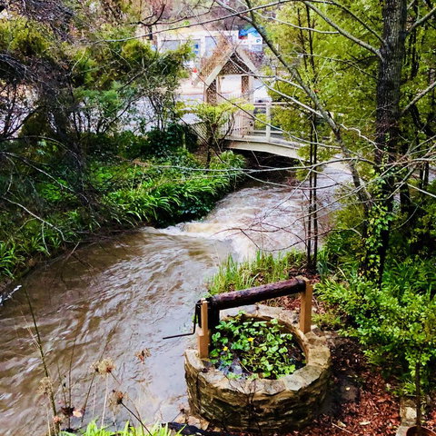 Aldgate Creek Cottage Bed And Breakfast - Tourism TAS 23